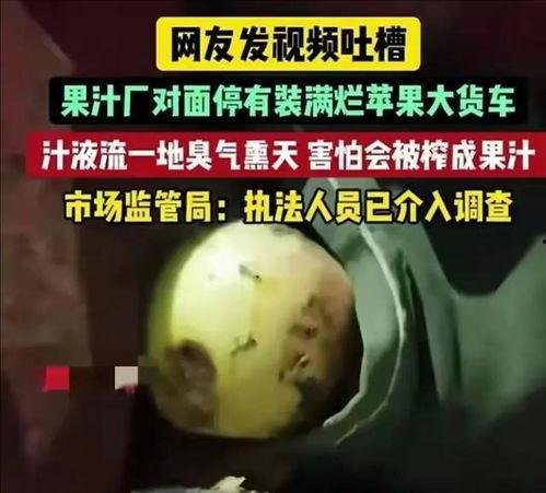 香港大瓜爆料视频,揭秘娱乐圈惊人内幕
