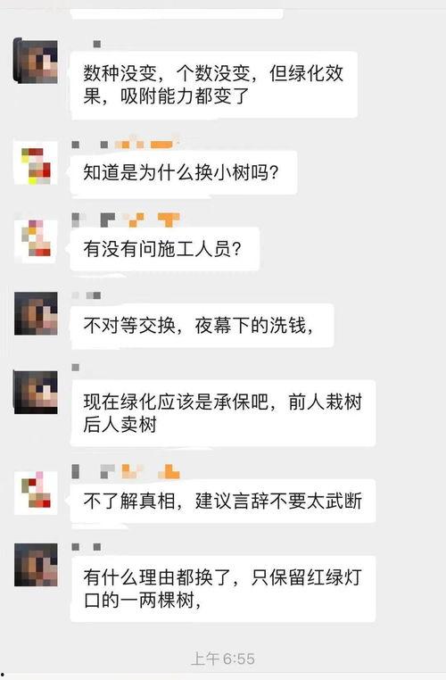 大树爆料视频,揭秘视频背后的惊人真相 第3张 大树爆料视频,揭秘视频背后的惊人真相 第3张
