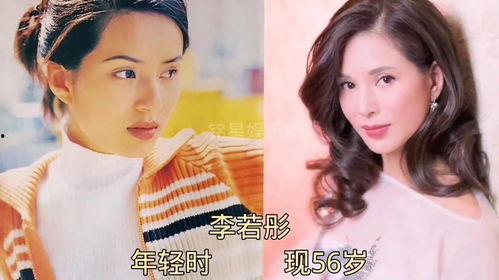 娱乐圈大爆料最新的小说,揭秘明星背后的秘密与真相