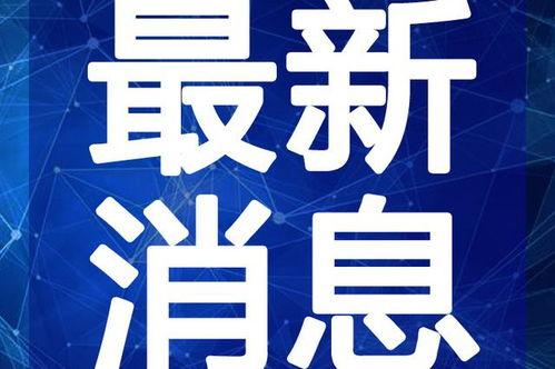 晨光最新爆料新闻报道视频,揭秘视频背后的惊人真相