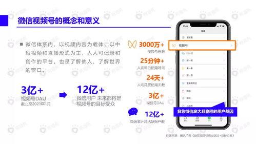 12号吃鸡皮肤爆料视频  第2张