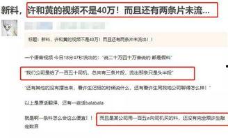 台媒最近爆料视频,揭秘事件背后惊人真相  第3张