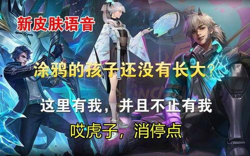 流浪者语音台词爆料视频,幕后故事与情感波动  第1张