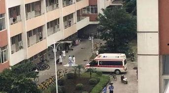 广西师大爆料新闻事件最新,校园事件引发社会关注，真相即将揭晓