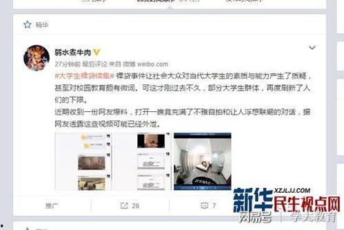 辽宁辣妈爆料视频最新网站,辽宁辣妈爆料视频网站最新动态揭秘